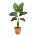 49" Traveler’s Palm Artificial Plant in Terra-Cotta Planter (Real Touch)