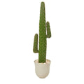 5'Cactus Artificial Plant in Decorative Urn