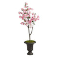5'Cherry Blossom Tree in Charcoal Urn