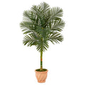 5'Golden Cane Artificial Palm Tree in Terra-Cotta Planter