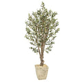 5'Olive Artificial Tree in Country White Planter