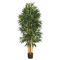 5'Phoenix Palm Artificial tree with Natural Trunk