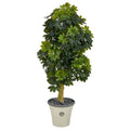 5' Schefflera Artificial Tree in Decorative Planter (Real Touch)