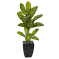 50" Dieffenbachia Artificial Plant in Black Planter (Real Touch)