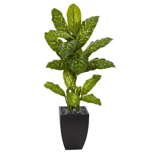 50" Dieffenbachia Artificial Plant in Black Planter (Real Touch)