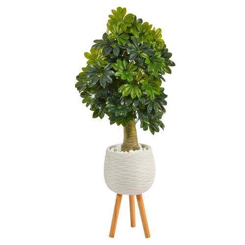 50" Schefflera Artificial Tree in White Planter with Stand (Real Touch)