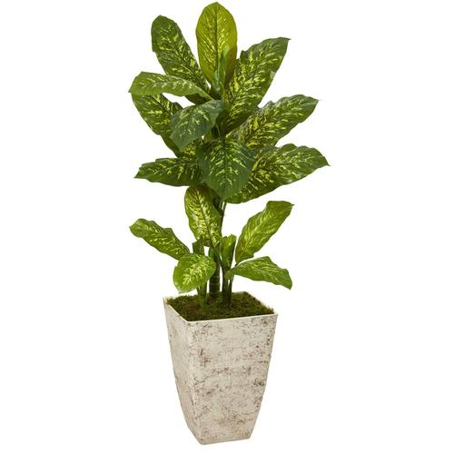 51" Dieffenbachia Artificial Plant in Stone Washed Planter (Real Touch)