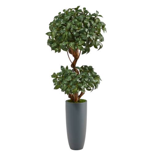 51" Sweet Bay Double Ball Topiary Artificial Tree in Gray Planter