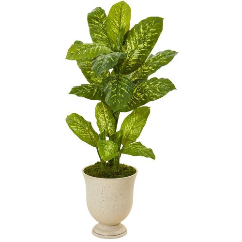 52" Dieffenbachia Artificial Plant in White Urn (Real Touch)