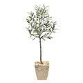 52" Olive Artificial Tree in Country White Planter