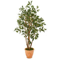 53" Ficus Artificial Tree in Terra-Cotta Planter