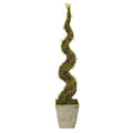 53" Mohlenbechia Spiral Artificial Tree in Country White Planter