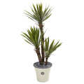 53" Yucca Artificial Tree in Decorative Planter