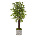 5.5'Bamboo Artificial Tree in White Planter