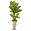 55" Dieffenbachia Artificial Plant in Sand Finished Urn (Real Touch)