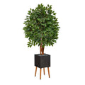 5.5'Super Deluxe Artificial Ficus Tree in Black Planter with Stand