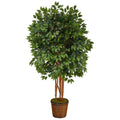 5.5'Super Deluxe Ficus Artificial Tree in Wicker Planter