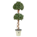 5.5'Sweet Bay Double Ball Topiary Artificial Tree in Decorative Planter