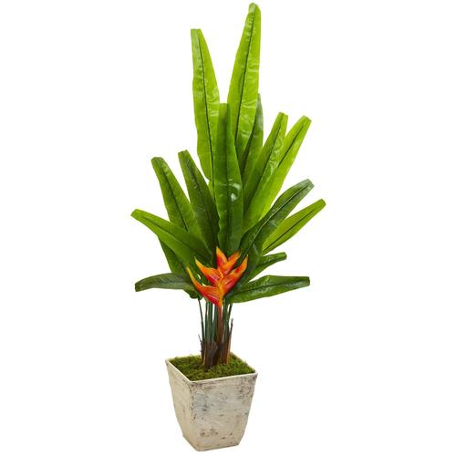 55" Traveler's Palm Artificial Tree in Country White Planter