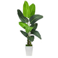 5.5'Travelers Palm Artificial Tree in White Metal Planter