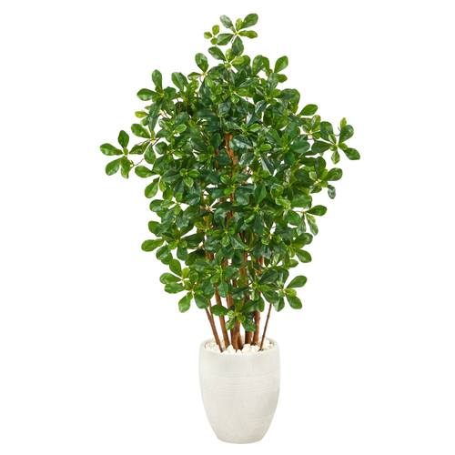56" Black Olive Artificial Tree in White Planter