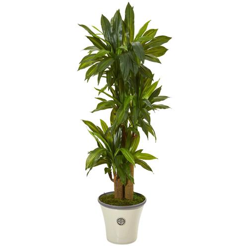 56" Corn Stalk Dracaena Artificial Plant in Planter (Real Touch)