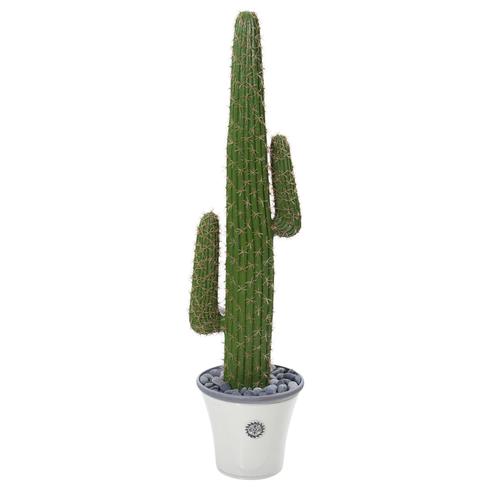 57" Cactus Artificial Plant in Decorative Planter