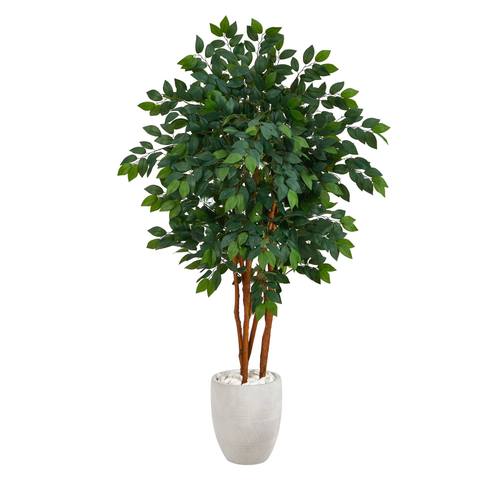 57" Sakaki Artificial Tree in White Planter