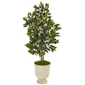 58" Ficus Artificial Tree in Decorative Urn