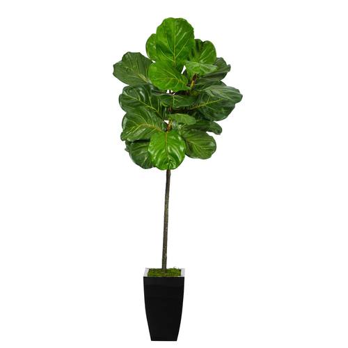 58" Fiddle Leaf Artificial Tree in Black Metal Planter