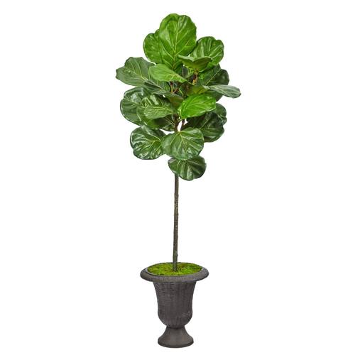 58" Fiddle Leaf Artificial Tree in Charcoal Urn