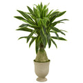 59" Dracaena Artificial Plant in Decorative Urn