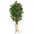 6'Black Olive Artificial Tree in White Planter with Stand