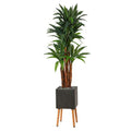 6'Dracaena Artificial Tree in Black Planter with Stand