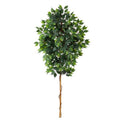 6'Ficus Artificial Tree (No Pot)