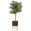 6'Golden Cane Artificial Palm Tree in Black Planter with Stand