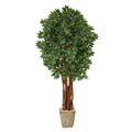6'Lychee Artificial Tree in Country White Planter