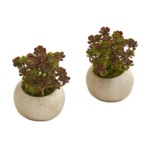 6" Sedum Succulent Artificial Plant in Stone Planter (Set of 2)