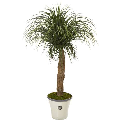 61" Pony Tail Palm Artificial Plant in Decorative Planter