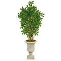63" Black Olive Artificial Tree in Sand Finished Urn