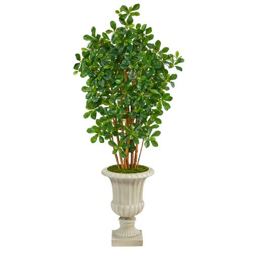 63" Black Olive Artificial Tree in Sand Finished Urn