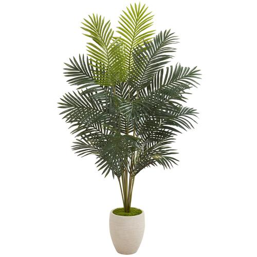 63" Paradise Palm Artificial Plant in Sand Colored Planter