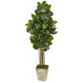 63" Rubber Leaf Artificial Tree in Country White Planter
