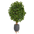 63" Super Deluxe Artificial Ficus Tree in Gray Planter with Stand