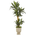 63" Yucca Artificial Plant in Decorative Urn