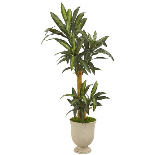 63" Yucca Artificial Plant in Decorative Urn