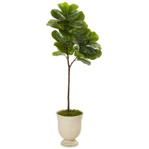 64" Fiddle Leaf Artificial Tree in Decorative Urn (Real Touch)