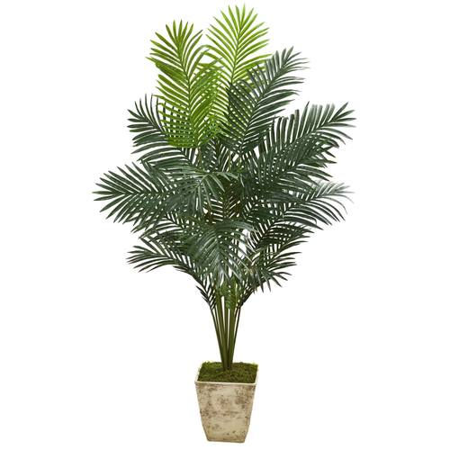 64" Paradise Palm Artificial Plant in Country White Planter