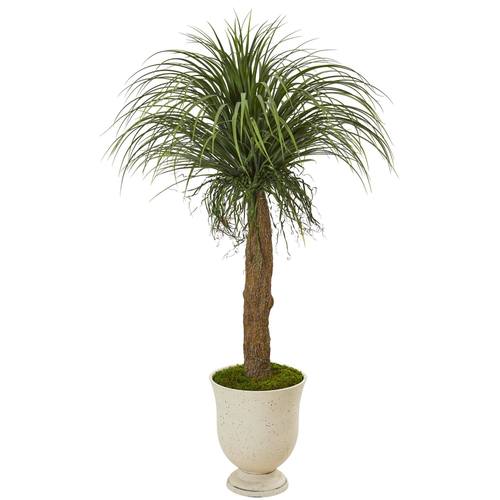 64" Pony Tail Palm Artificial Plant in Decorative Urn