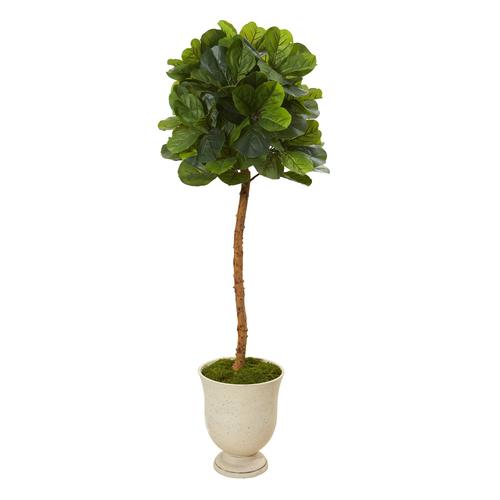 65" Fiddle Leaf Artificial Tree in Decorative Urn (Real Touch)